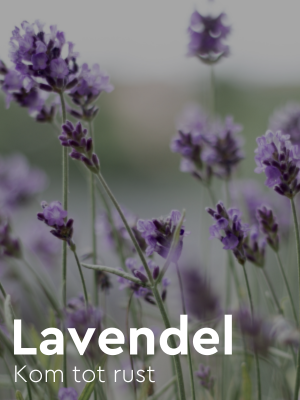 Kneipp